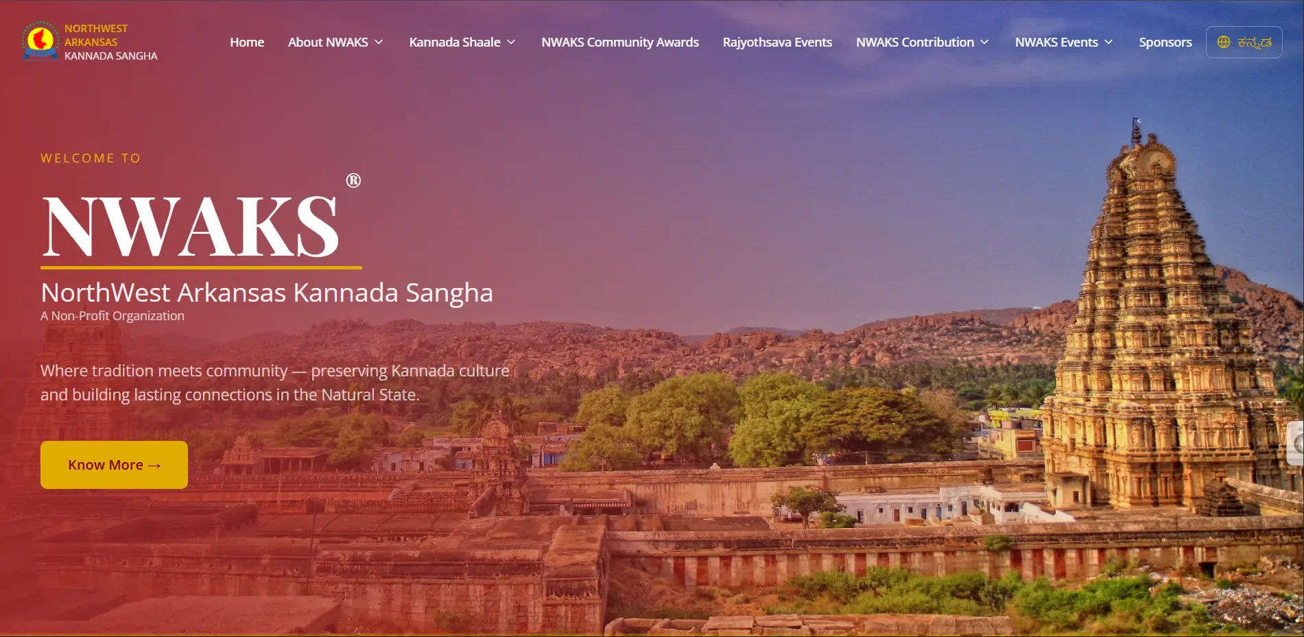 NWAKS website development project by Vibecode Studio